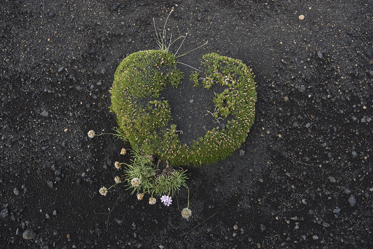 %_tempFileNameISLAND%20-%20012%