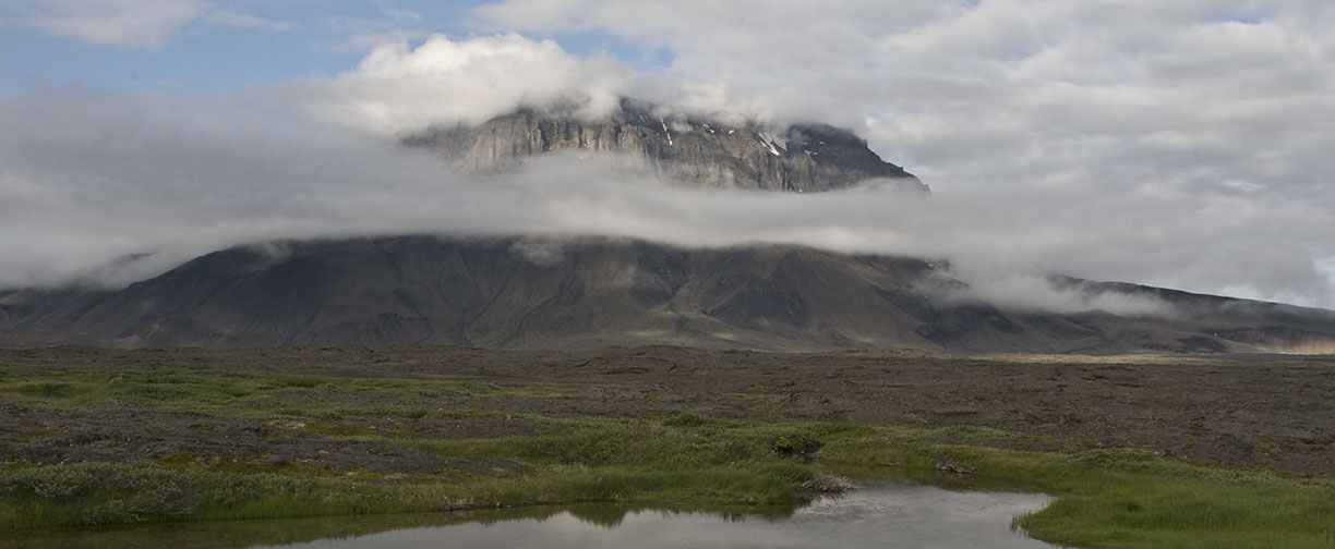 %_tempFileNameISLAND%20-%20021%