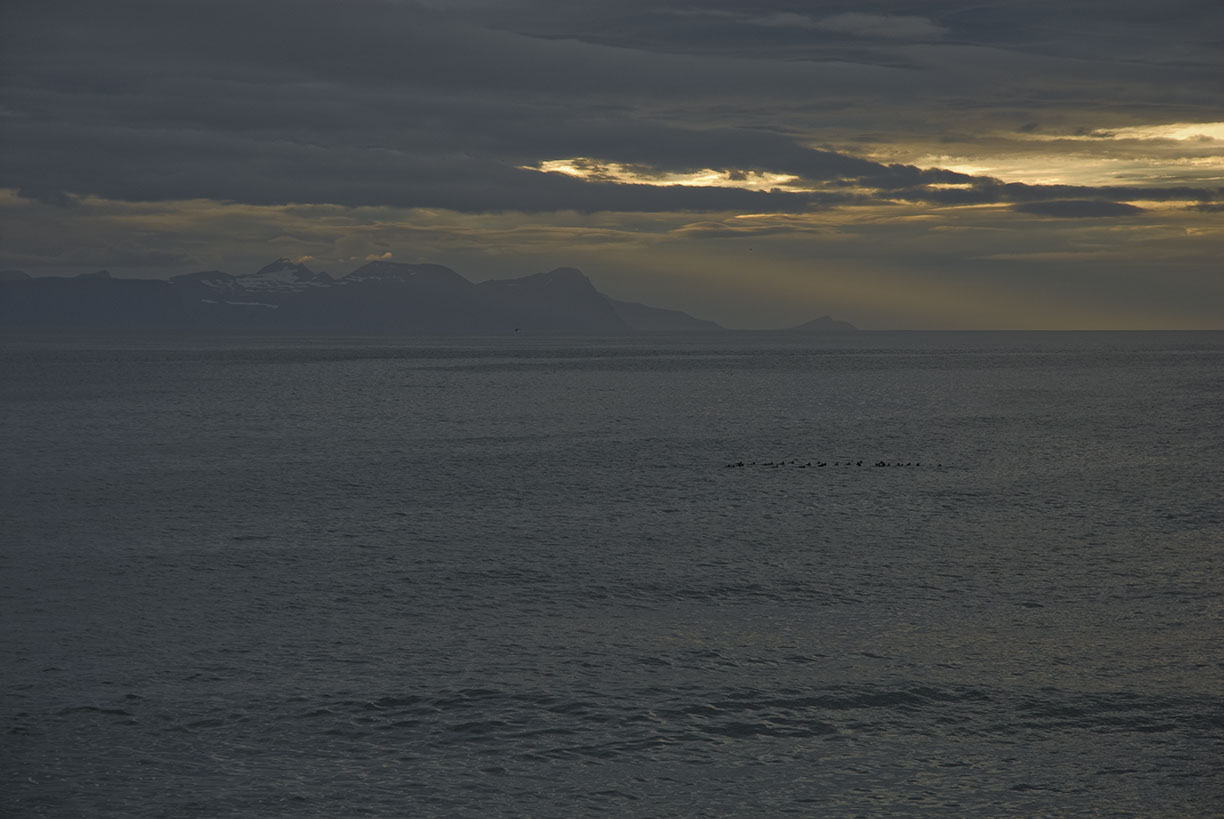 %_tempFileNameISLAND%20-%20043%