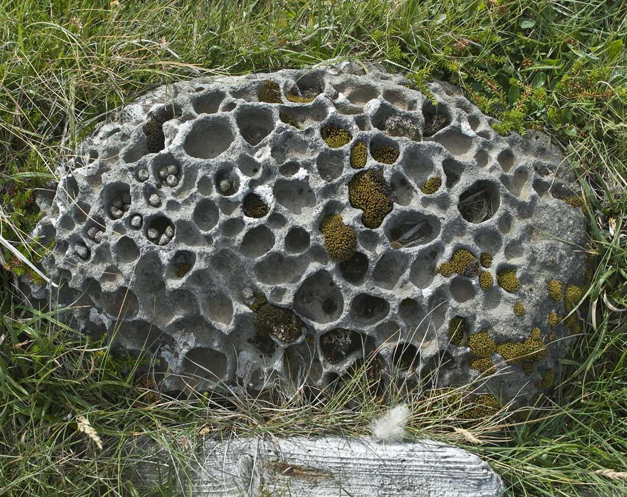 %_tempFileNameISLAND%20-%20146%