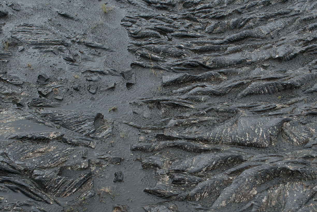 %_tempFileNameISLAND%20-%20180%