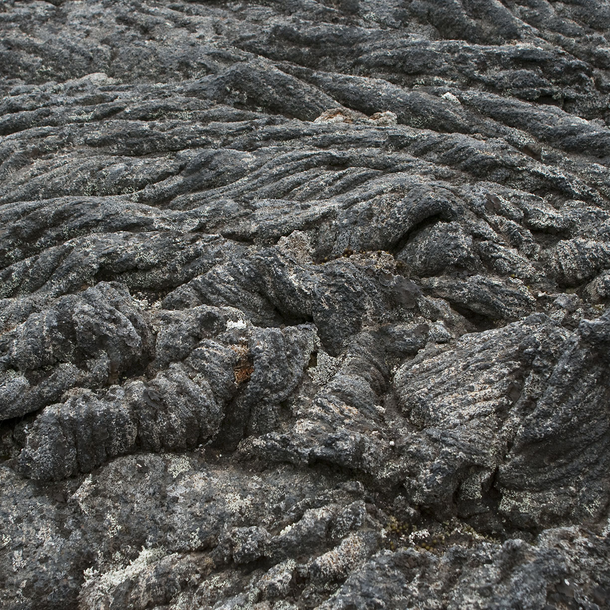 %_tempFileNameISLAND%20-%20201%