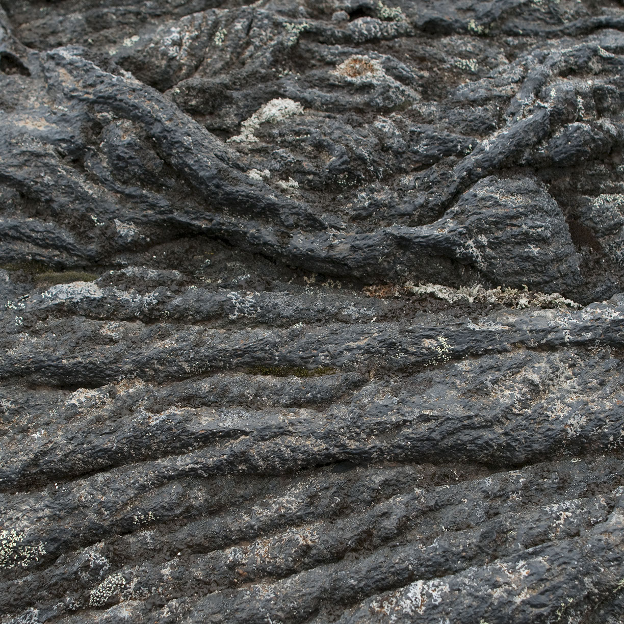 %_tempFileNameISLAND%20-%20202%