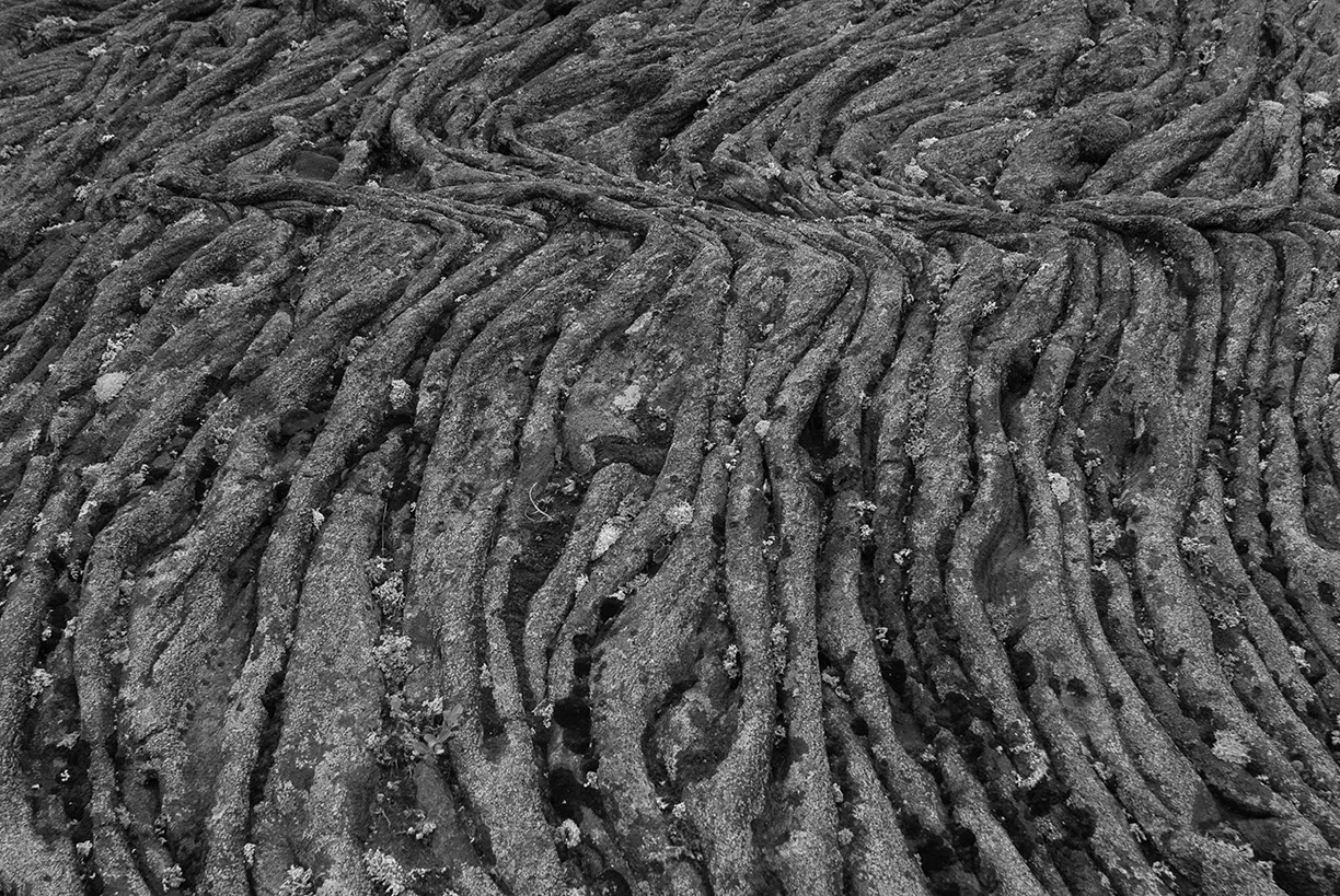 %_tempFileNameISLAND%20-%20203%