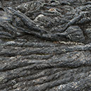 %_tempFileNameISLAND%20-%20202%