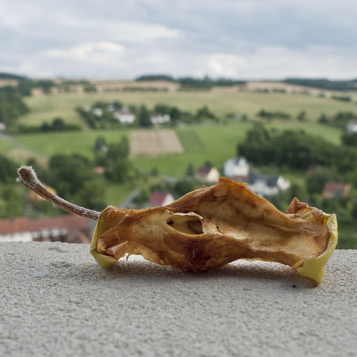 %_tempFileNameSCHAUPLATZ%20-%2000%