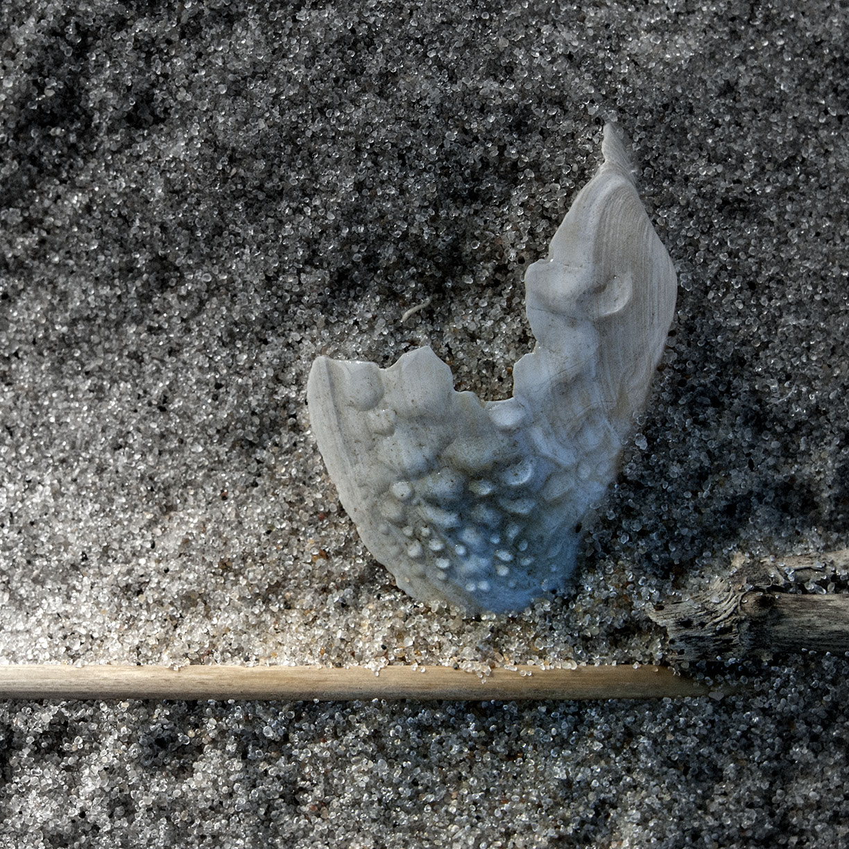 %_tempFileNameSCHAUPLATZ%20-%2005%