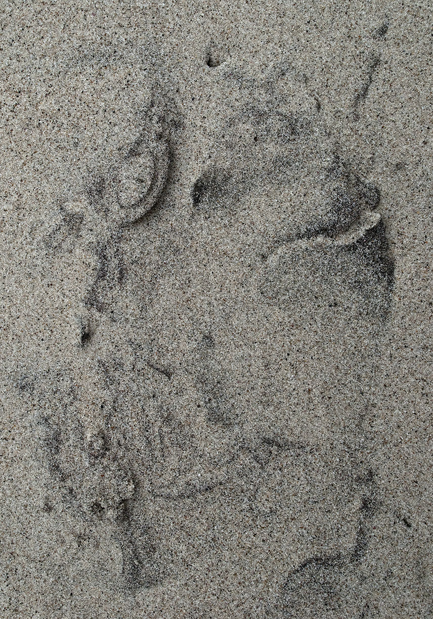 %_tempFileNameSCHAUPLATZ%20-%2009%