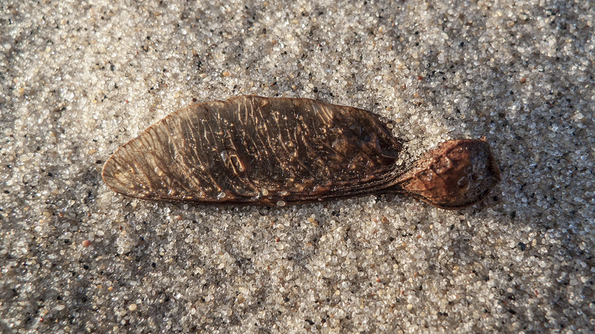 %_tempFileNameSCHAUPLATZ%20-%2010%