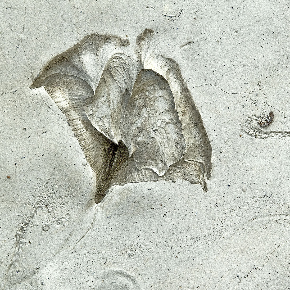 %_tempFileNameSCHAUPLATZ%20-%2016%