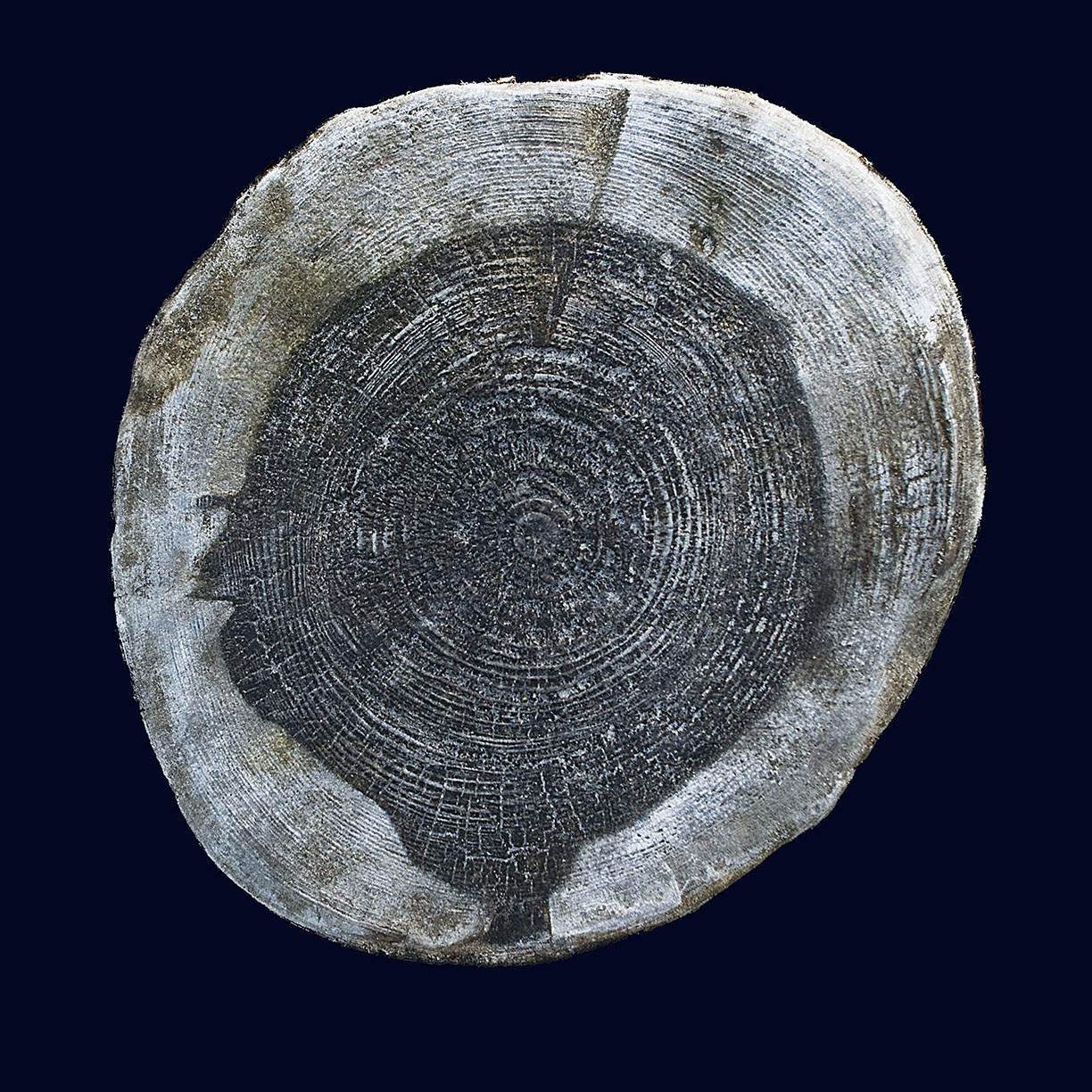 %_tempFileNameSCHAUPLATZ%20-%2017%