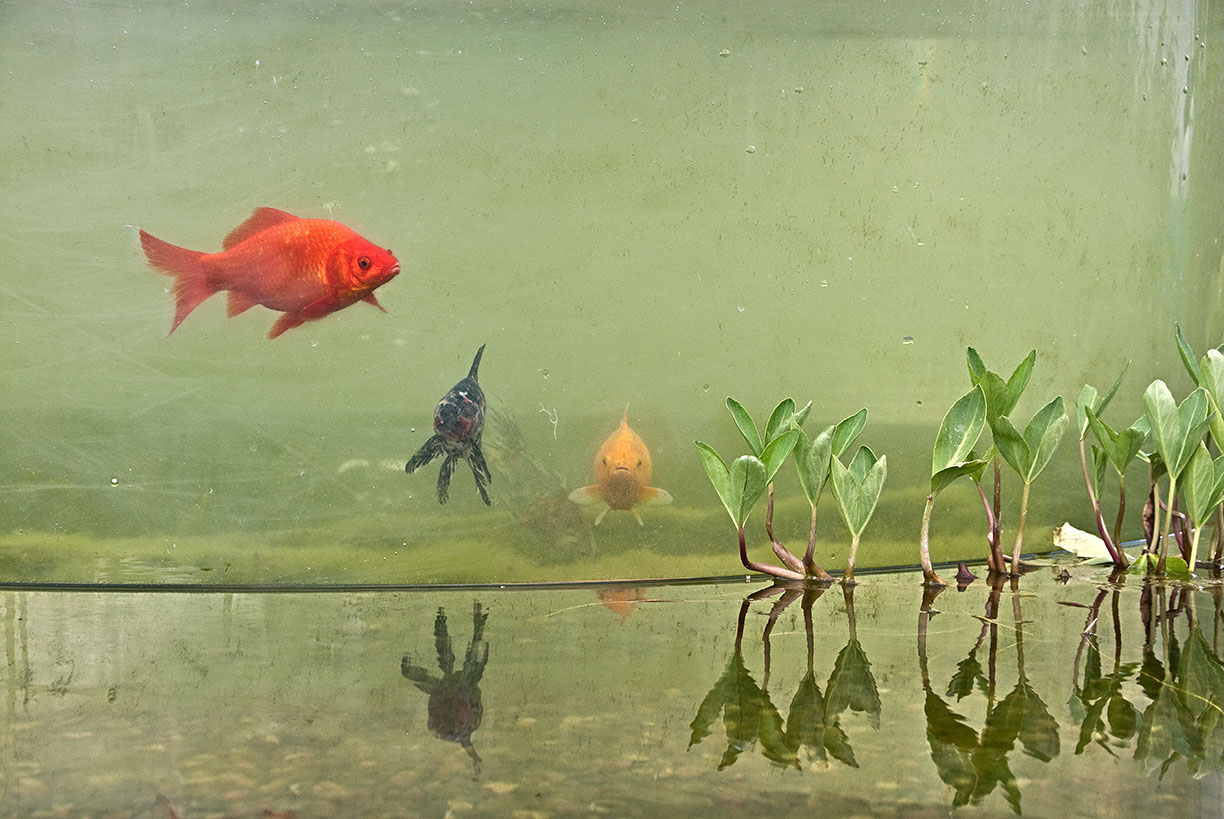 %_tempFileNameSCHAUPLATZ%20-%2020%