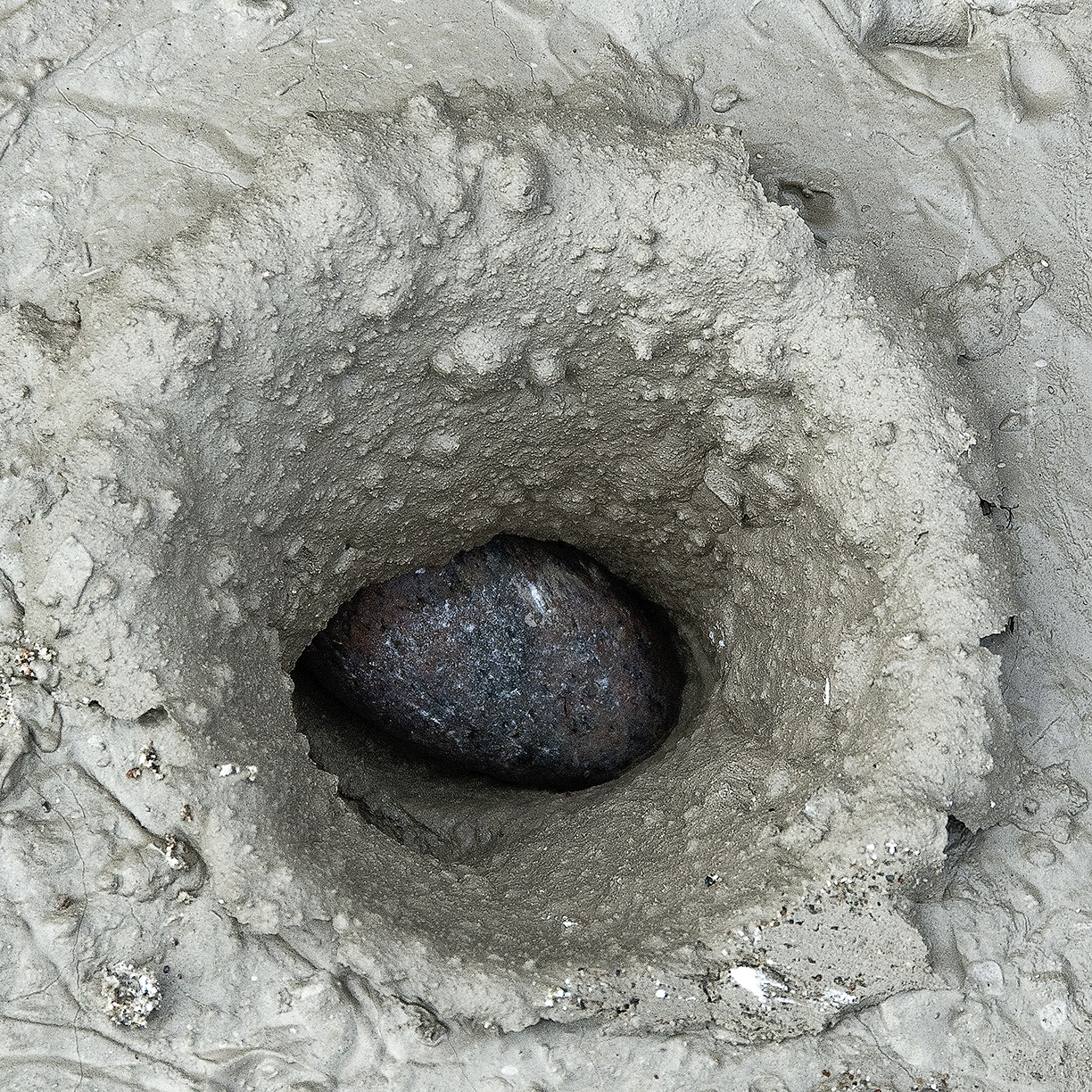 %_tempFileNameSCHAUPLATZ%20-%2021%