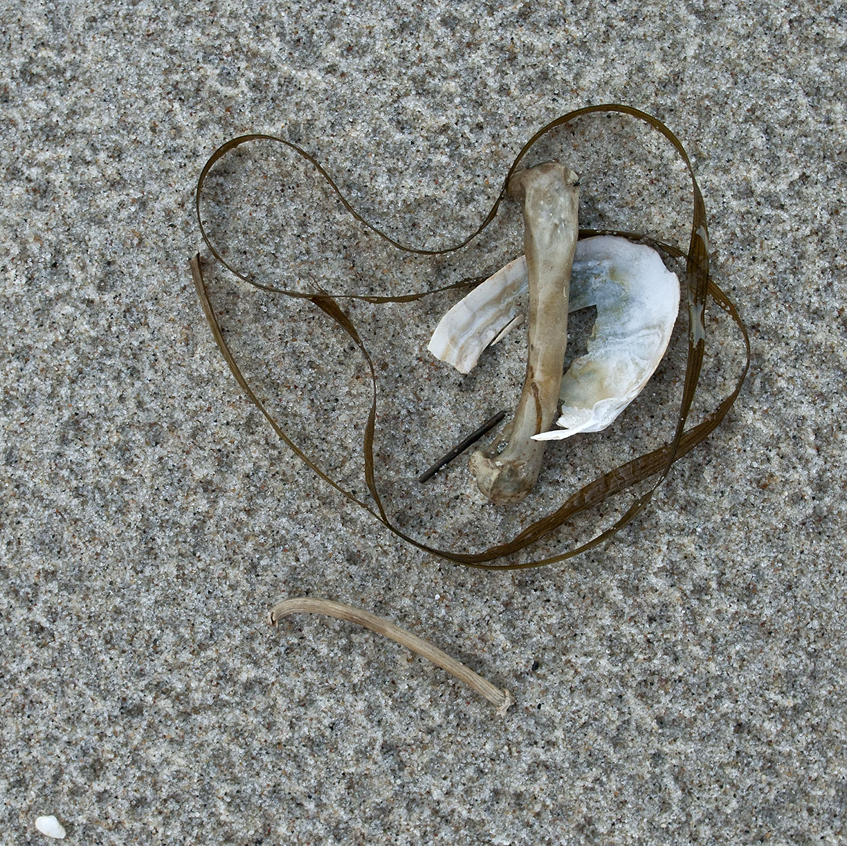 %_tempFileNameSCHAUPLATZ%20-%2022%