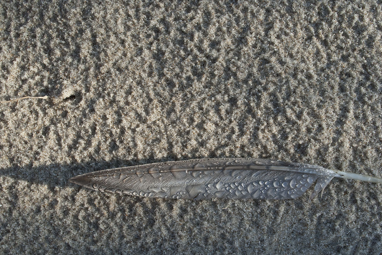 %_tempFileNameSCHAUPLATZ%20-%2023%