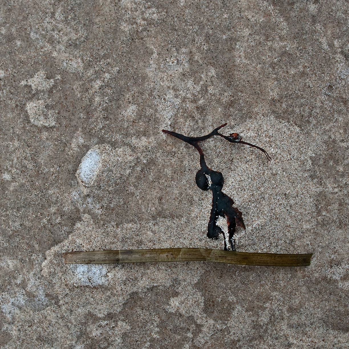 %_tempFileNameSCHAUPLATZ%20-%2025%