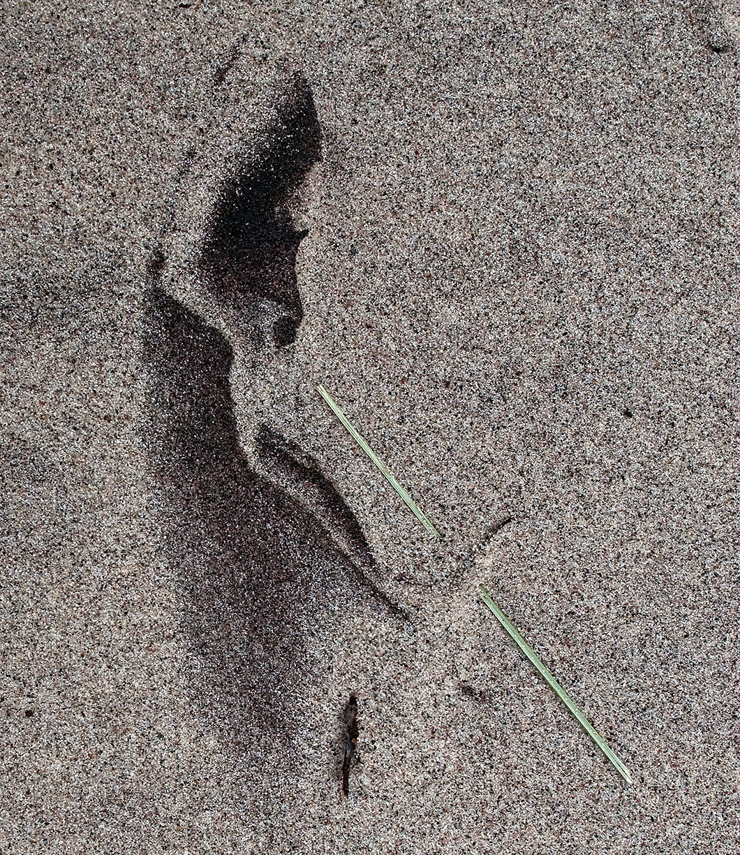 %_tempFileNameSCHAUPLATZ%20-%2026%