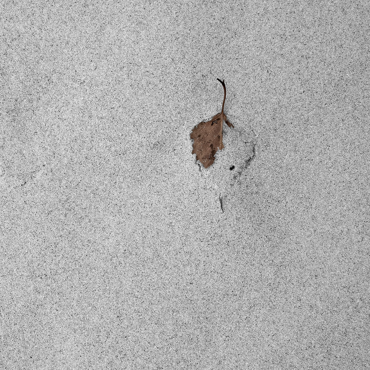 %_tempFileNameSCHAUPLATZ%20-%2027%