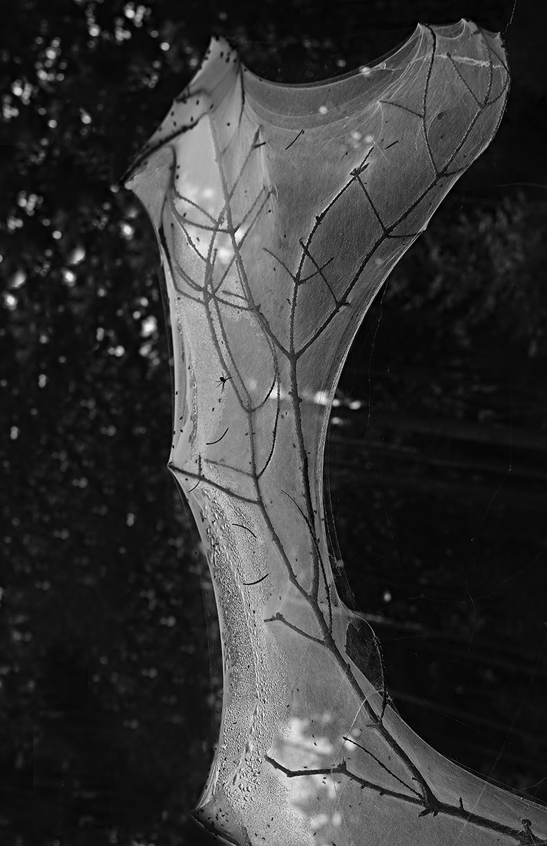 %_tempFileNameSCHAUPLATZ%20-%2046%