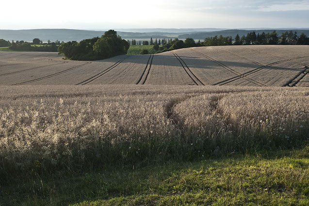 %_tempFileNameSCHAUPLATZ%20-%2053%