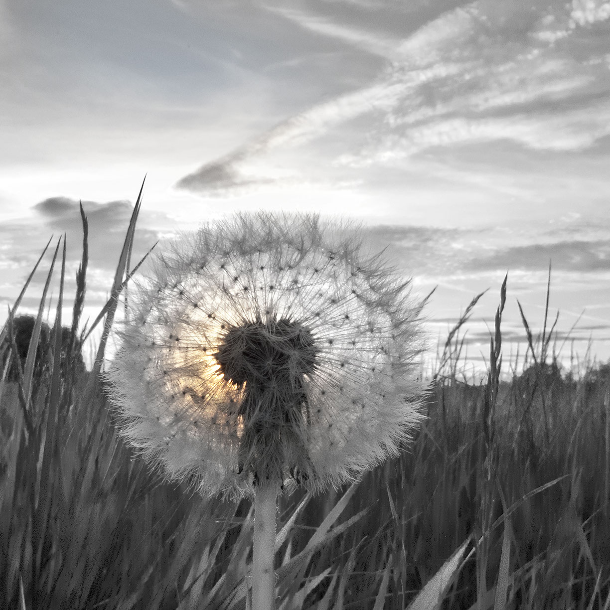 %_tempFileNameSCHAUPLATZ%20-%2070%