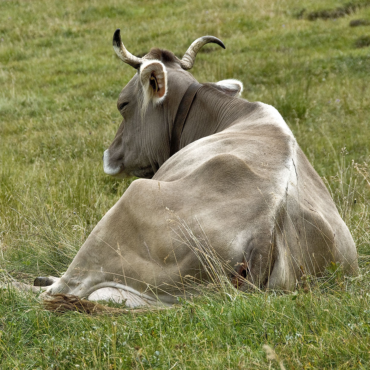 %_tempFileNameSCHAUPLATZ%20-%2071%