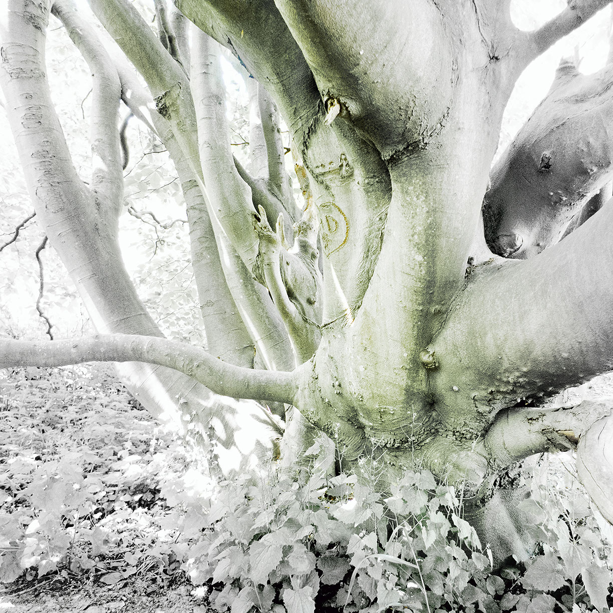 %_tempFileNameSCHAUPLATZ%20-%2074%