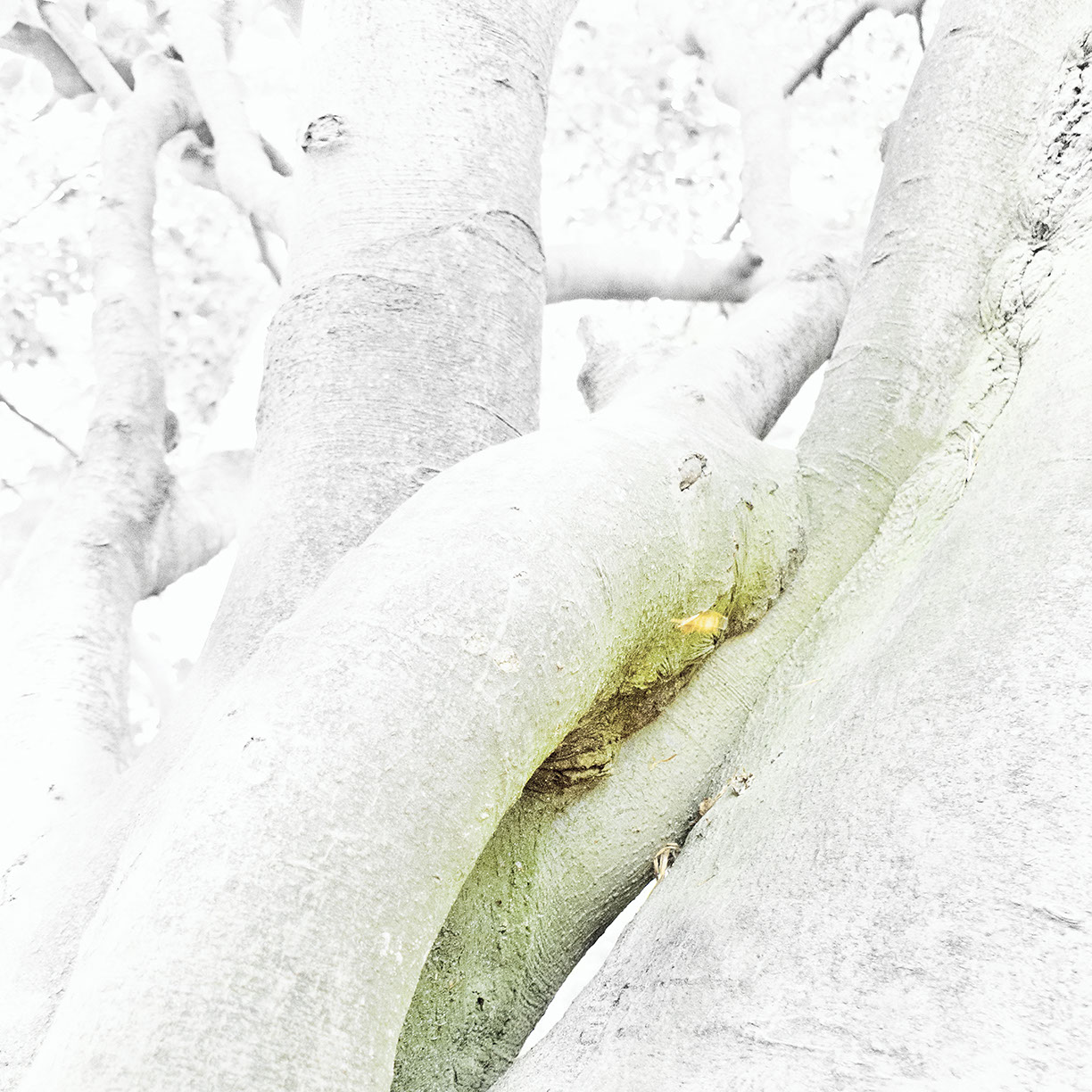 %_tempFileNameSCHAUPLATZ%20-%2075%