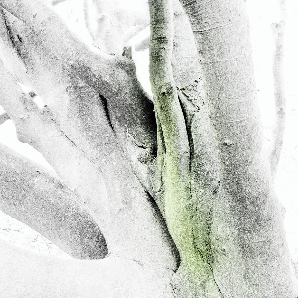 %_tempFileNameSCHAUPLATZ%20-%2076%