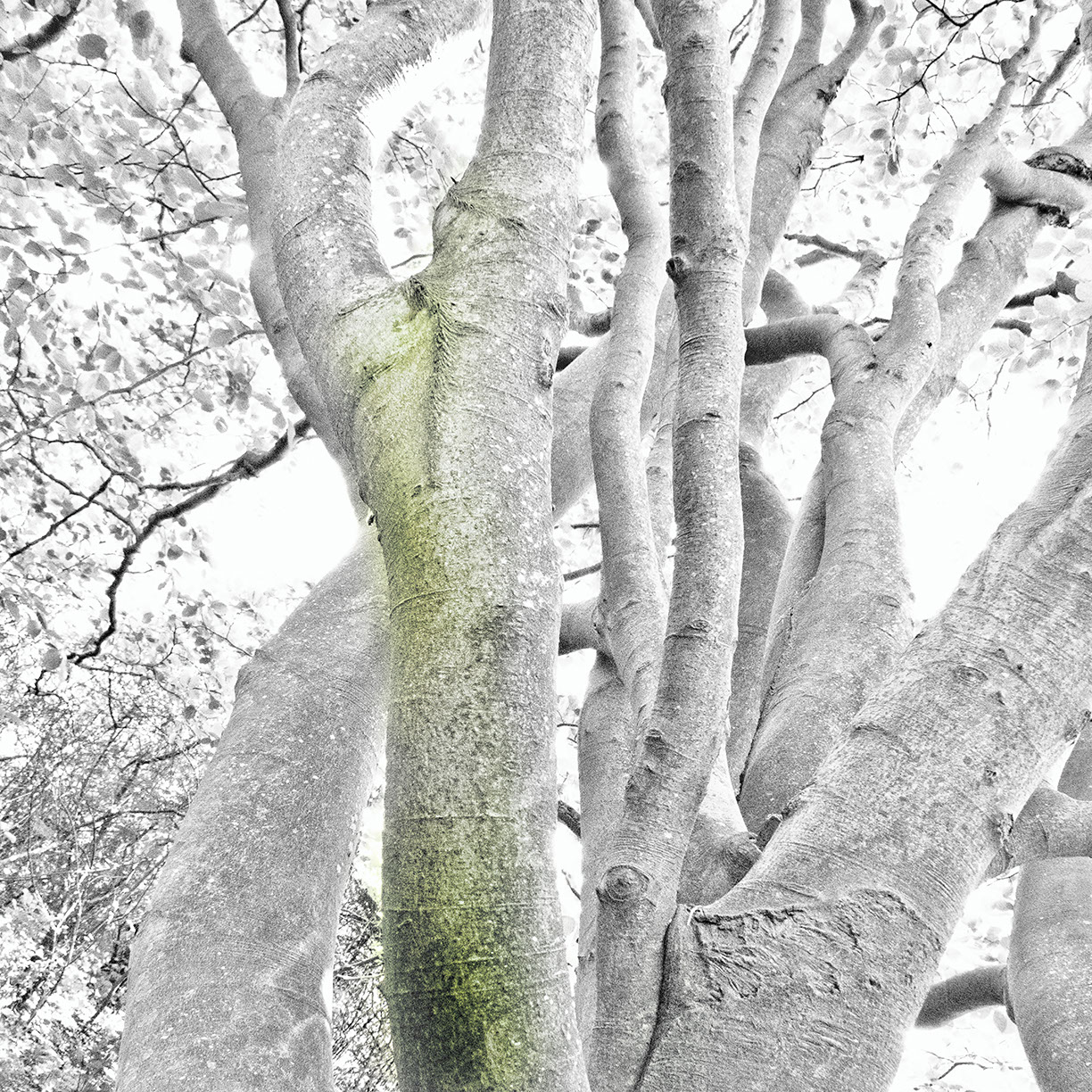 %_tempFileNameSCHAUPLATZ%20-%2077%