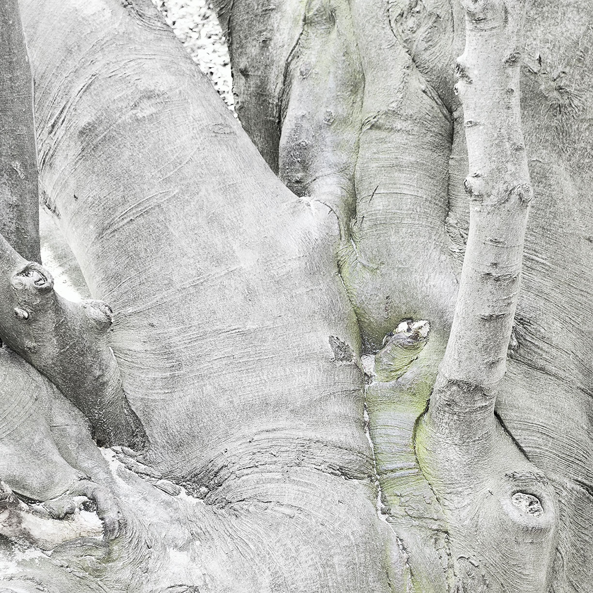 %_tempFileNameSCHAUPLATZ%20-%2079%