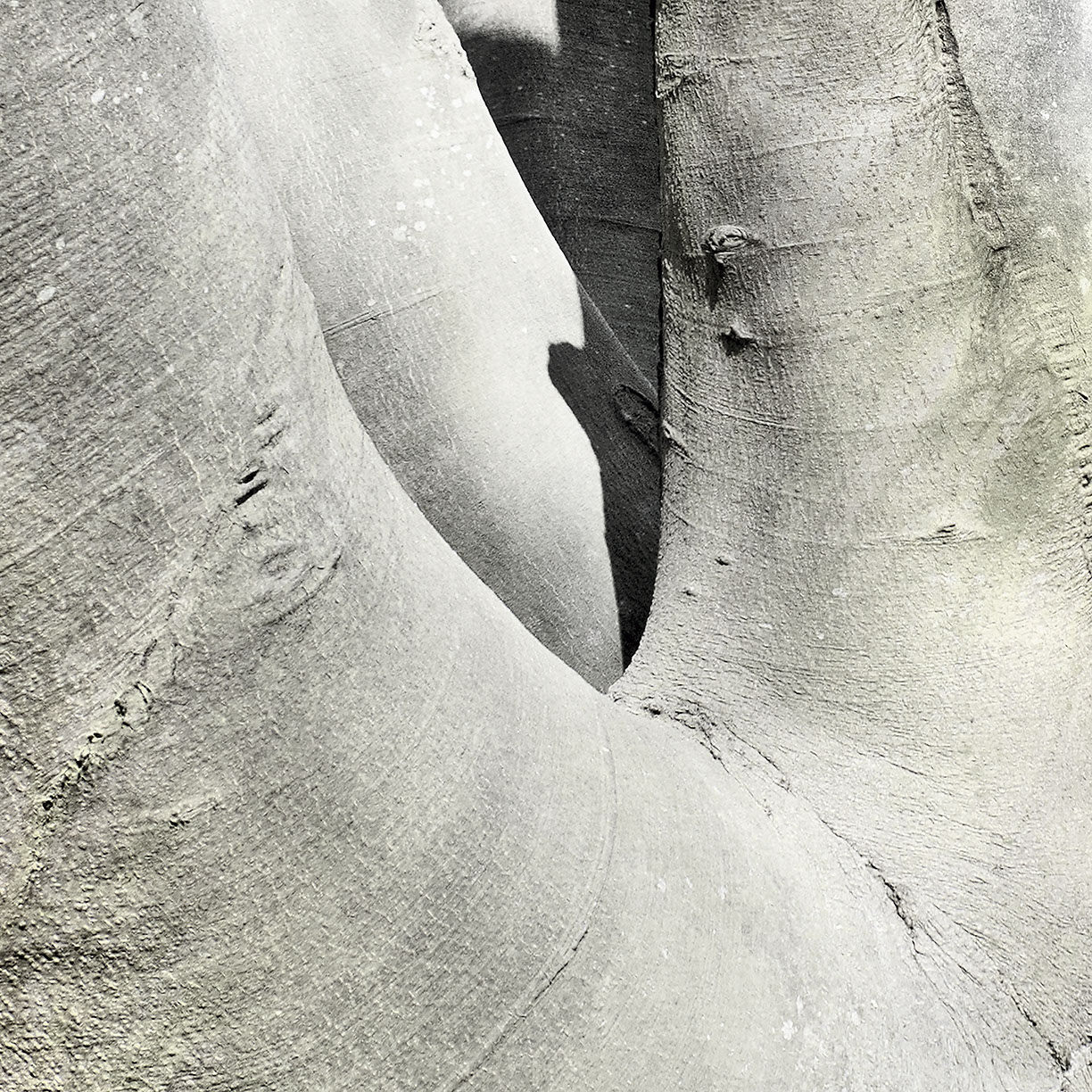 %_tempFileNameSCHAUPLATZ%20-%2080%