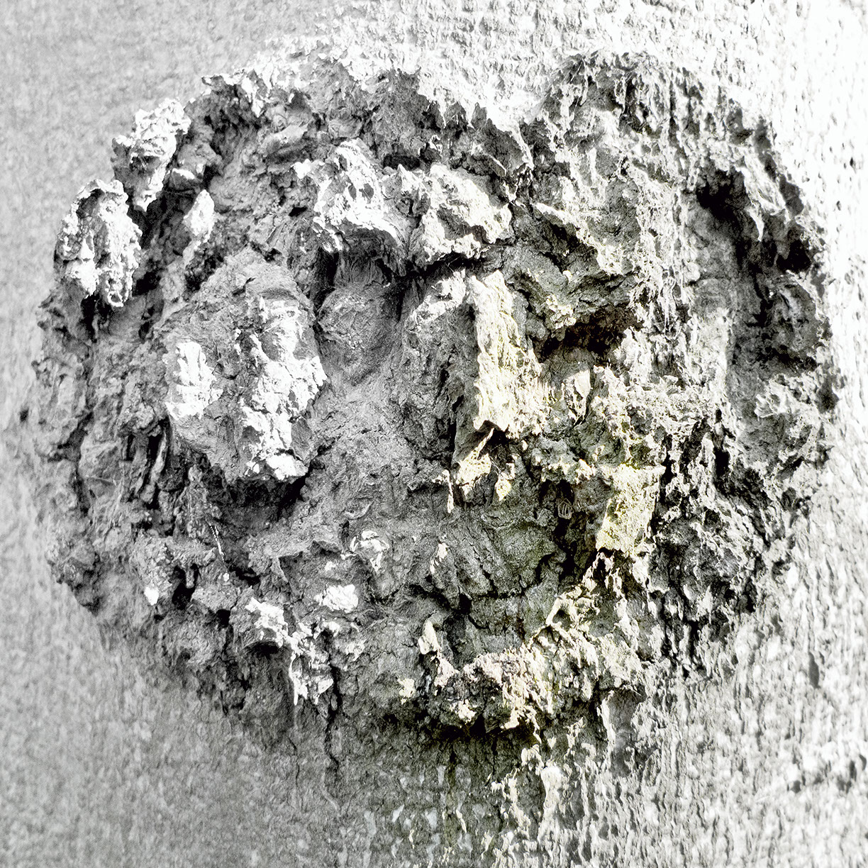 %_tempFileNameSCHAUPLATZ%20-%2081%