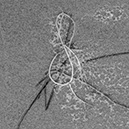 %_tempFileNameSCHAUPLATZ%20-%2002%