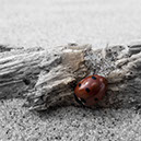 %_tempFileNameSCHAUPLATZ%20-%2003%