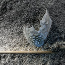 %_tempFileNameSCHAUPLATZ%20-%2005%