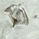 %_tempFileNameSCHAUPLATZ%20-%2016%