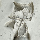 %_tempFileNameSCHAUPLATZ%20-%2018%