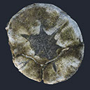 %_tempFileNameSCHAUPLATZ%20-%2019%