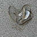 %_tempFileNameSCHAUPLATZ%20-%2022%