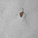 %_tempFileNameSCHAUPLATZ%20-%2027%