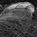 %_tempFileNameSCHAUPLATZ%20-%2048%