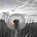 %_tempFileNameSCHAUPLATZ%20-%2070%