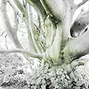 %_tempFileNameSCHAUPLATZ%20-%2074%