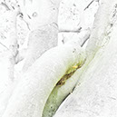 %_tempFileNameSCHAUPLATZ%20-%2075%