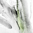 %_tempFileNameSCHAUPLATZ%20-%2076%