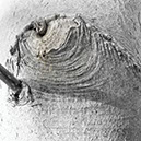 %_tempFileNameSCHAUPLATZ%20-%2078%