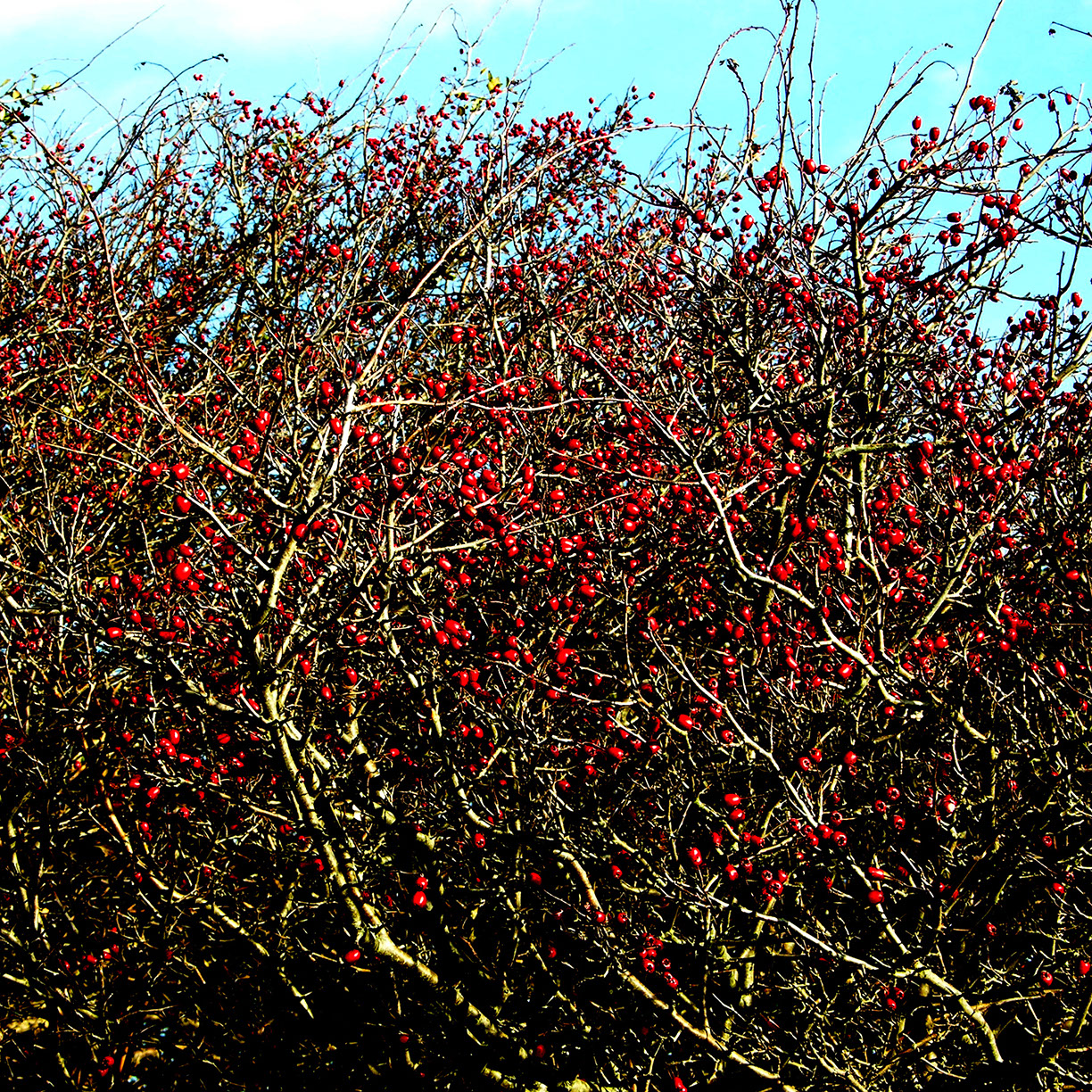 %_tempFileNameSTRUKTUR%20-%20003%