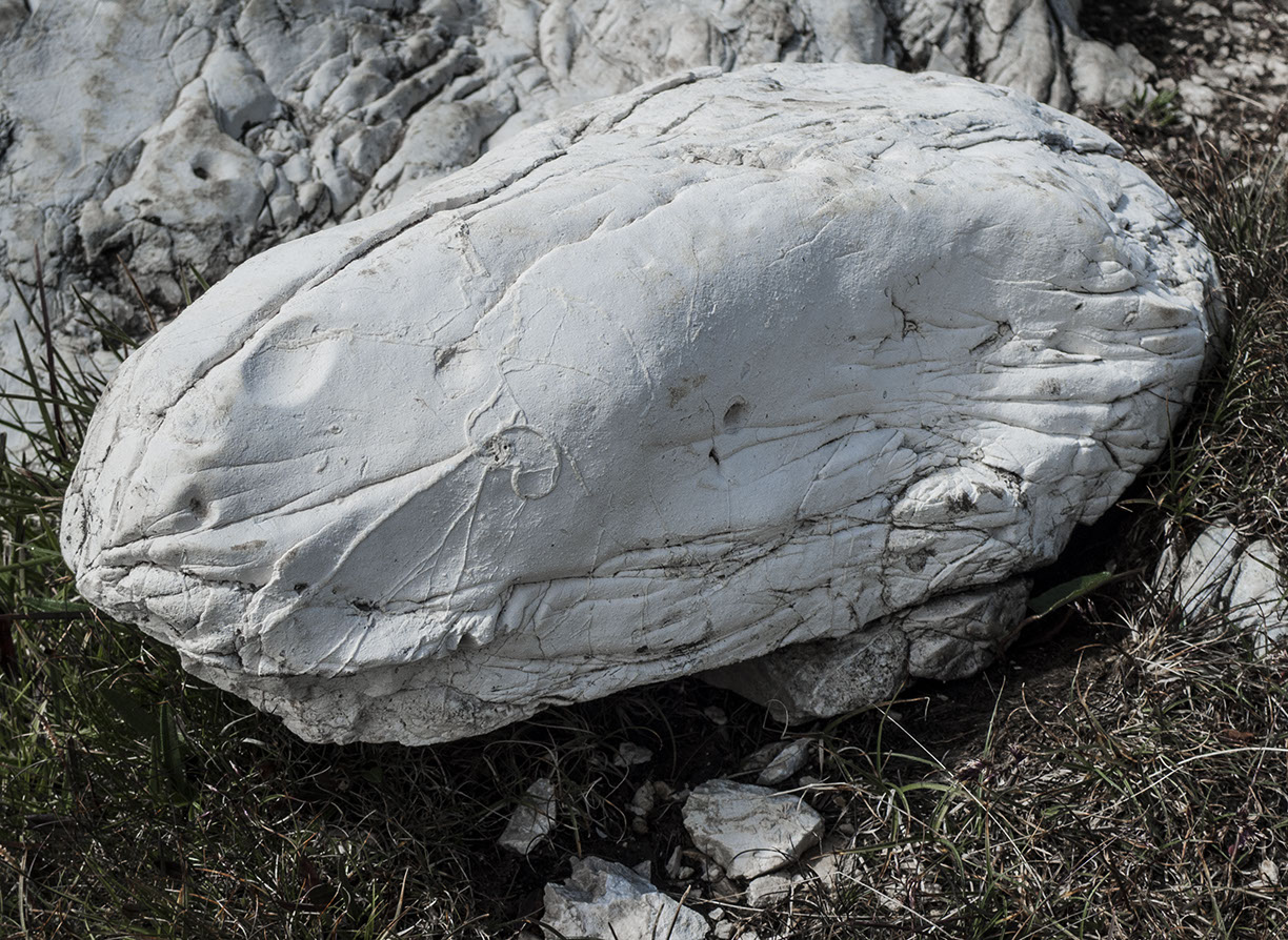 %_tempFileNameSTRUKTUR%20-%20005%