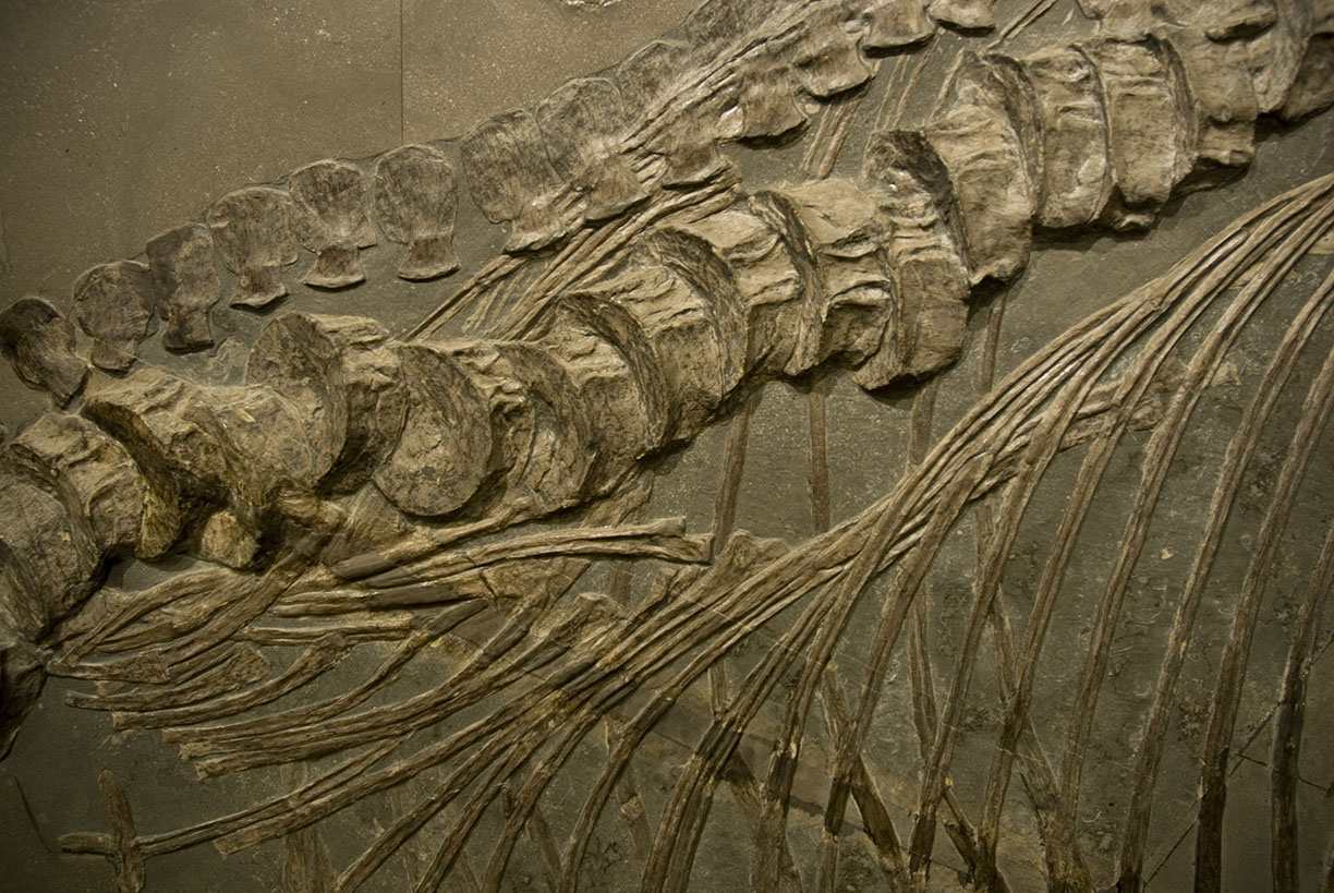 %_tempFileNameSTRUKTUR%20-%20006%